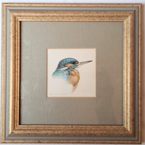 Dennis McCallum water colour painting of a kingfisher