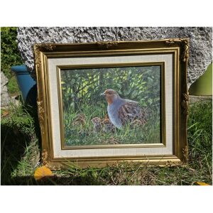 Nigel Hallard - Partridge and her chicks